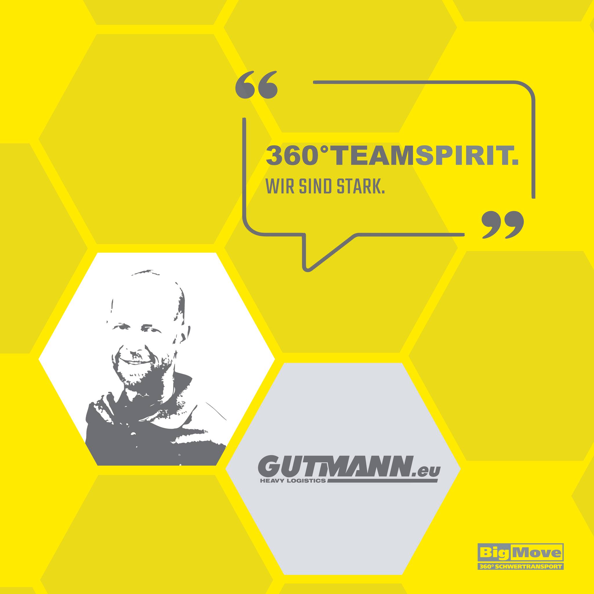 teamspirit-bigmove
